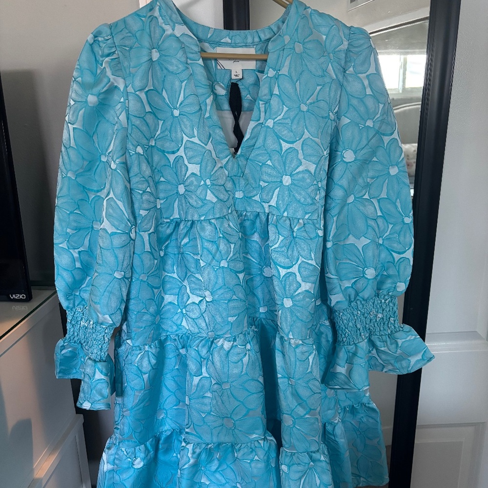 Pomander Place dress - L - Tuckernuck
